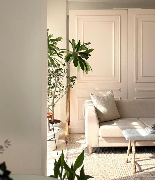 A bright and cozy podcast studio with natural light, plants, and neutral tones showing how to create a calm podcast studio