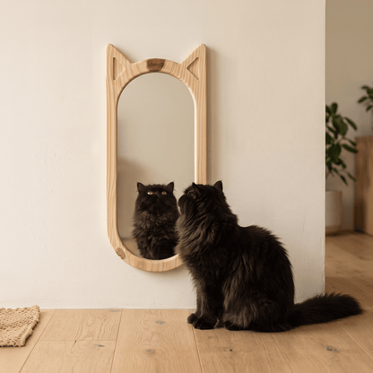 Hana pinewood wooden cat mirror mounted low on wall with black Persian cat looking at its reflection — A Good Life